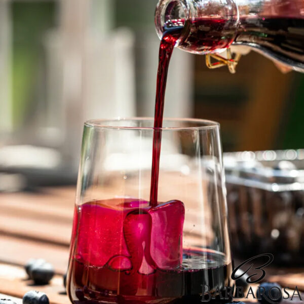 Sirop de afine 500ml