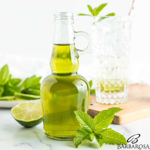 Sirop de menta 500ml