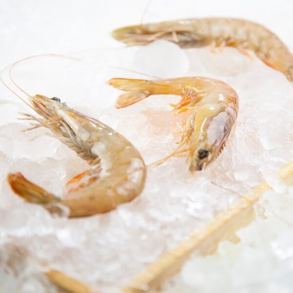 Creveti Albi Tropicali 20-30buc/kg 1kg