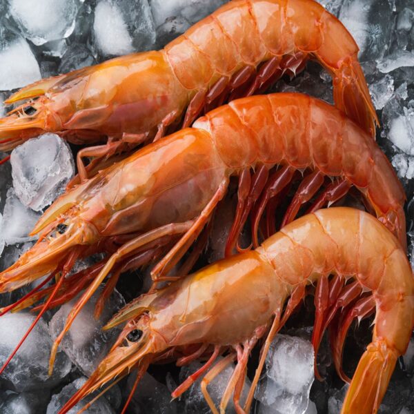 Creveti Austral Jumbo L1 ARG 2kg