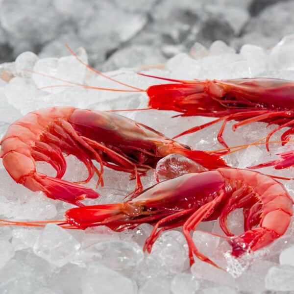 Creveti Gambot 20-30 buc/kg 1kg