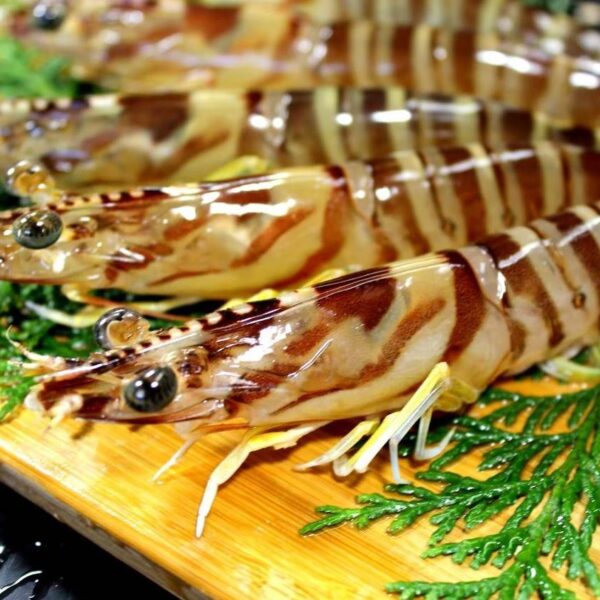 Creveti Tigre 12-15 buc/kg 800gr