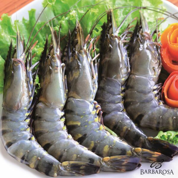 Creveti Black Tiger HOSO 16/20 1kg