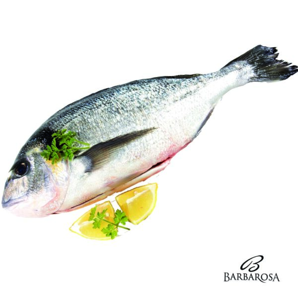 Dorada 200-300gr