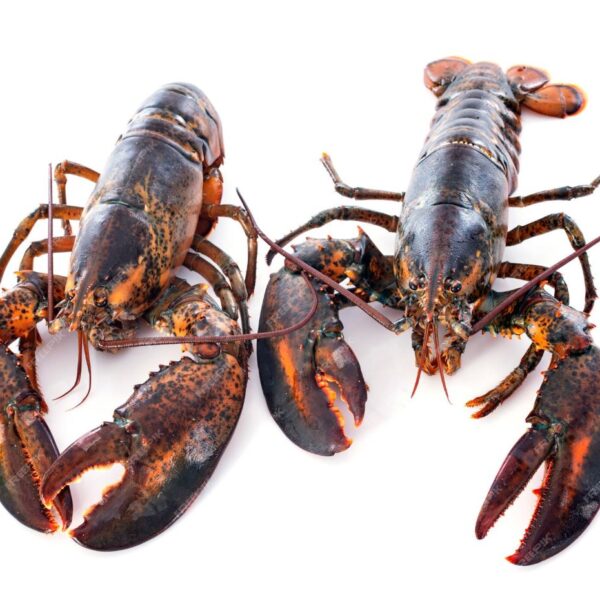 Homar Canadian 500gr