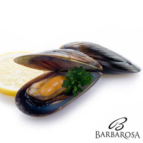 Midii Galicia 30-40buc/kg