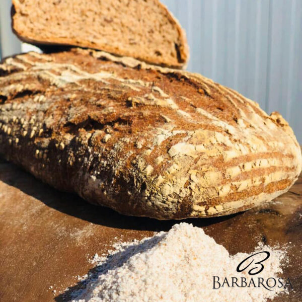 Paine integrala cu maia 500gr