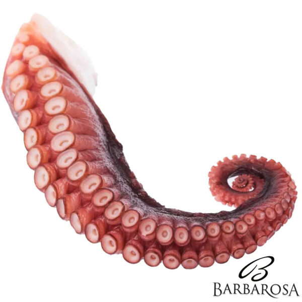 Tentacule Caracatita 200gr/buc (pasteurizat)