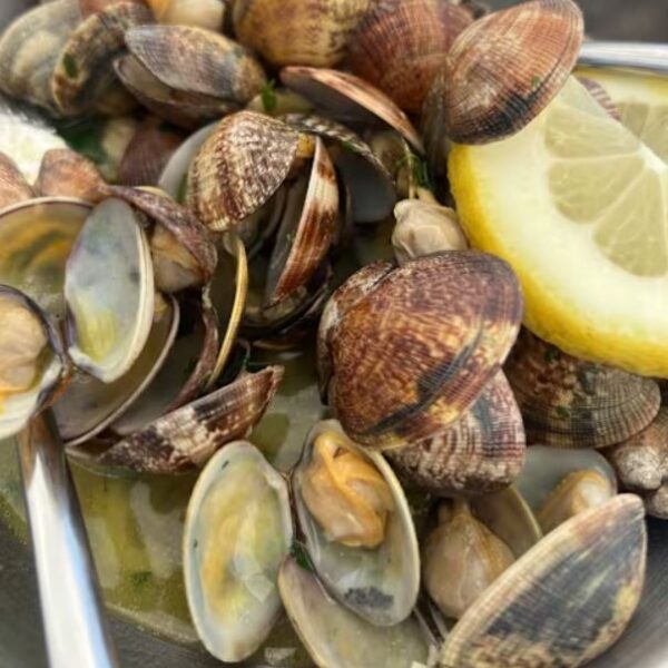 Vongole Galicia 30-40 buc/kg