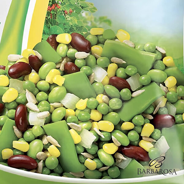 Amestec legume fitness vegan 450gr