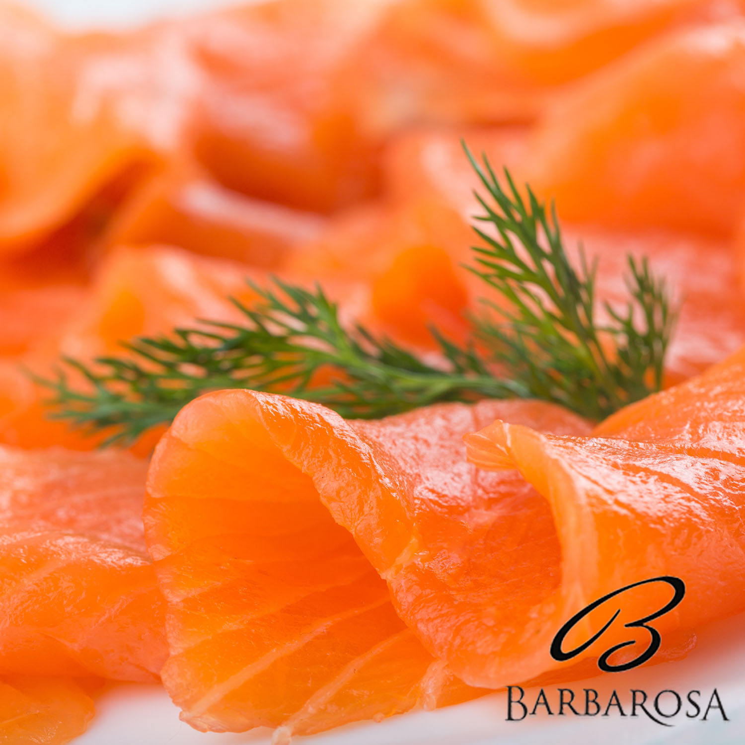 Raw Fresh salmon steak